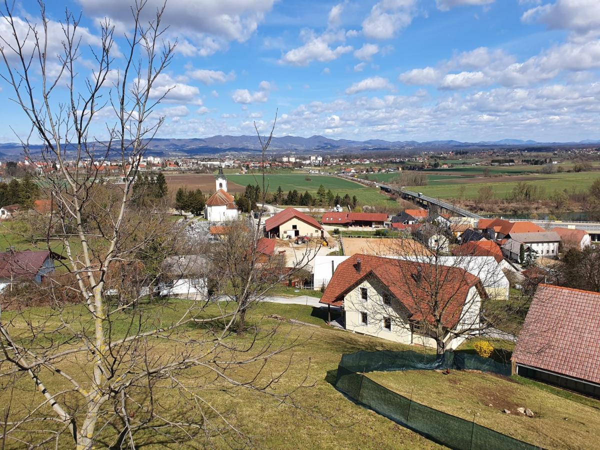 Gnezdo Vid-Ik Villa Catez ob Savi Exteriör bild